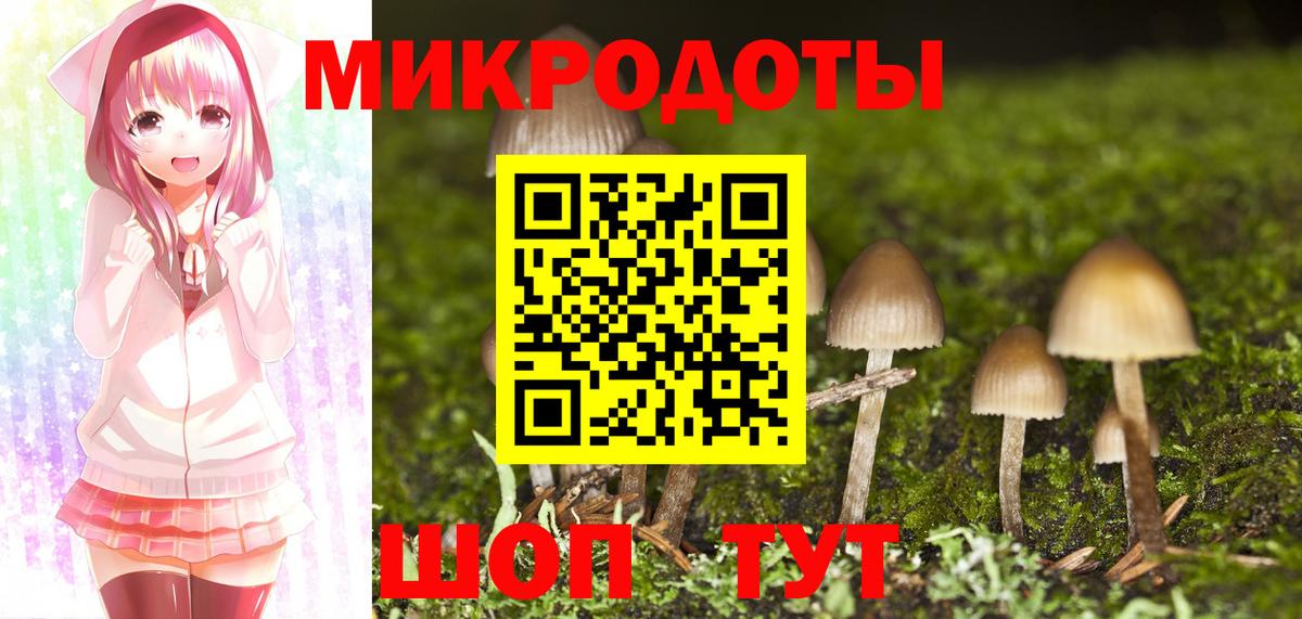 Черкесск  Псилоцибиновые грибы Psilocybe  Вход с VPN 
